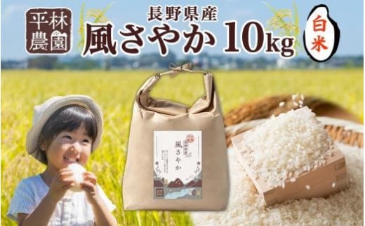 ＜先行予約＞令和7年産 風さやか 白米 10kg×1袋 長野県産 米 精米 お米 ごはん ライス 甘み 農家直送 産直 信州 人気 ギフト お取り寄せ 平林農園 送料無料 長野県 大町市