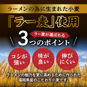 ラー麦（福岡県産小麦）使用の 冷やし担々麺 10食　PC6206