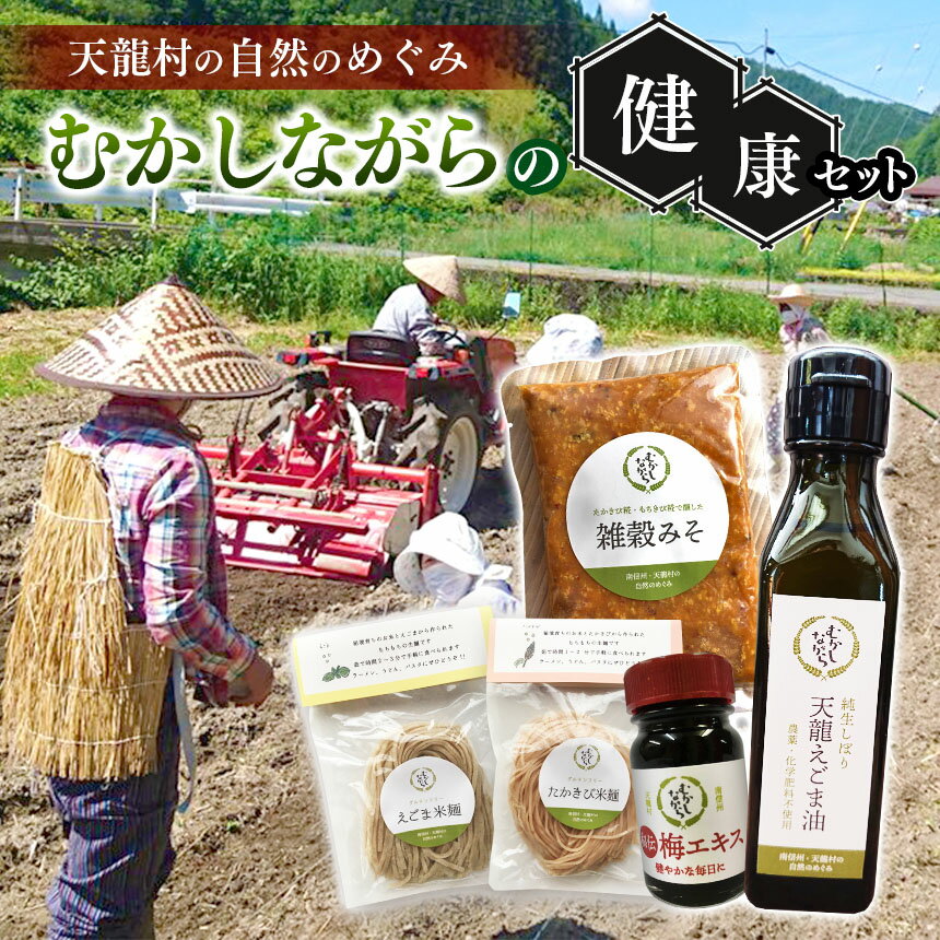 【ふるさと納税】無農薬・無化学肥料 南信州・天龍村の自然のめぐみ　むかしながらの健康セット / 5品入り | 油 えごま油 味噌 梅 梅エキス えごま米麺 たかきび米麺 濃縮 健康 無農薬 長野県 南信州 天龍村
