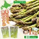 【ふるさと納税】【2025年6月以降順次発送】 グリーンアスパラガス 1kg　（L・Mサイズ各500g）《喜茂別町》【Aコープようてい】 アスパラ 野菜 セット 詰め合わせ 北海道 春野菜 季節の野菜 先行予約 北海道 北海道 [AJAK002] 11000 11000円