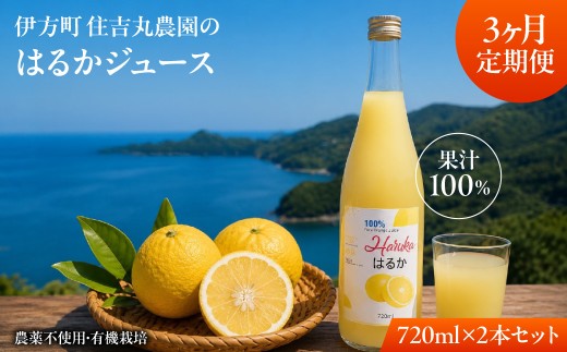 【3か月定期便】はるかジュース 720ml×2本 【 ふるさと納税 人気 おすすめ ランキング はるかジュース はるか みかん ミカン オレンジ 柑橘 無農薬 有機栽培 佐田岬半島 農家直送 住吉丸農園 愛媛県 伊方町 送料無料 】 IKTBN019