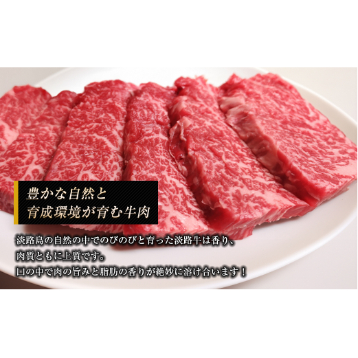 淡路牛 ロース（焼き肉用） ８００ｇ_イメージ2