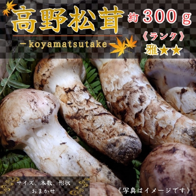 
                  ＜和歌山産＞～香りそのまま真空パック～高級・希少 高野松茸　300g(雅:★★)【1340771】
                