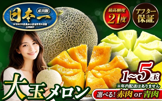 
                  メロン 2026 先行予約 【発送5月上旬～】最高糖度21度！奇跡の甘さ クインシー キスグリーン 1玉～5玉 めろん 10000円 以下 赤肉 人気 おすすめ 甘い フルーツ 濃厚 くだもの 高糖度 自家栽培 めろん 贈答用 贈り物 プレゼント  送料無料 片岡農園 クレストファーム 茨城 茨城県 鉾田市
                