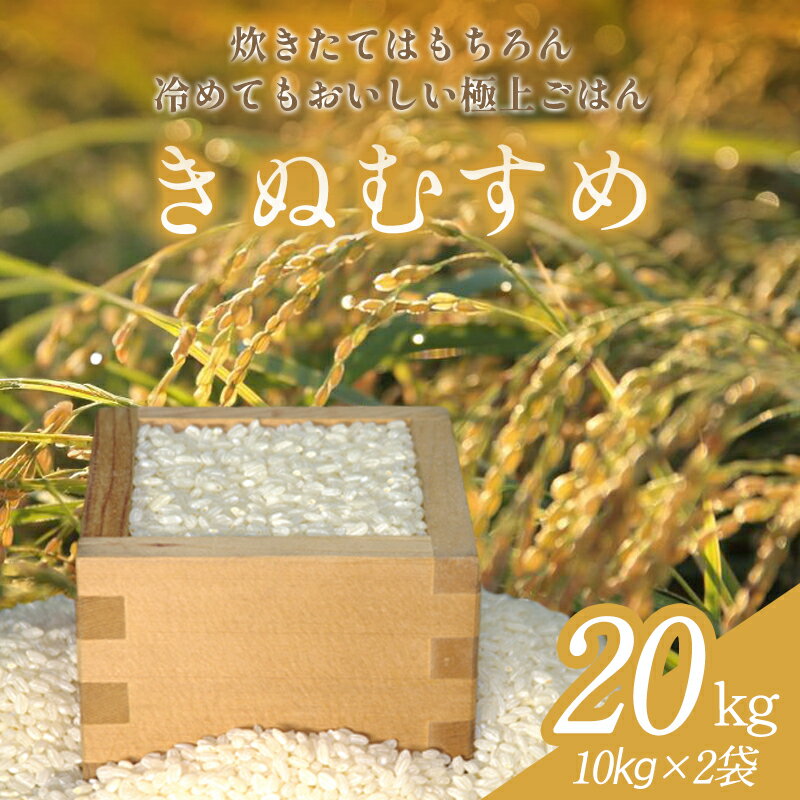 【ふるさと納税】きぬむすめ 20kg 米 白米 ごはん お米 20キロ