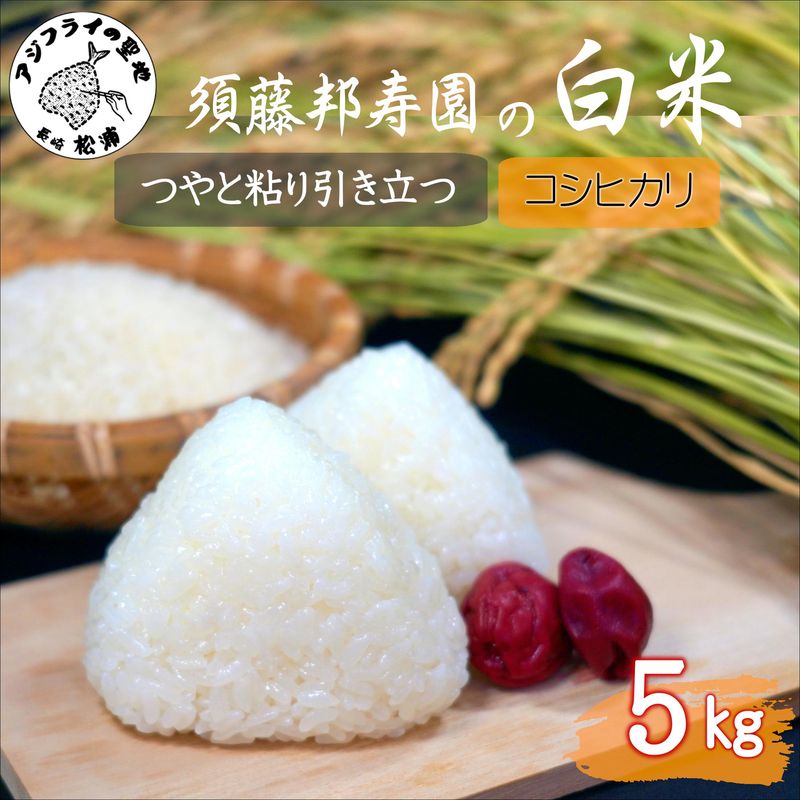 【ふるさと納税】【令和7年産米】須藤邦寿園の白米 コシヒカリ5kg【B6-051】