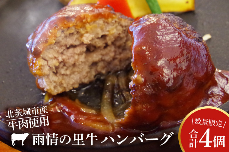 
                  BX001　雨情の里牛ハンバーグ　4個
                