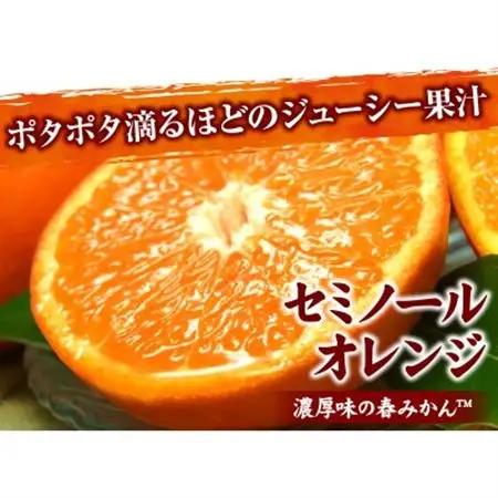 セミノールオレンジ 秀品 [約5kg]和歌山県有田産春みかん(果実サイズおまかせ)【1242249】