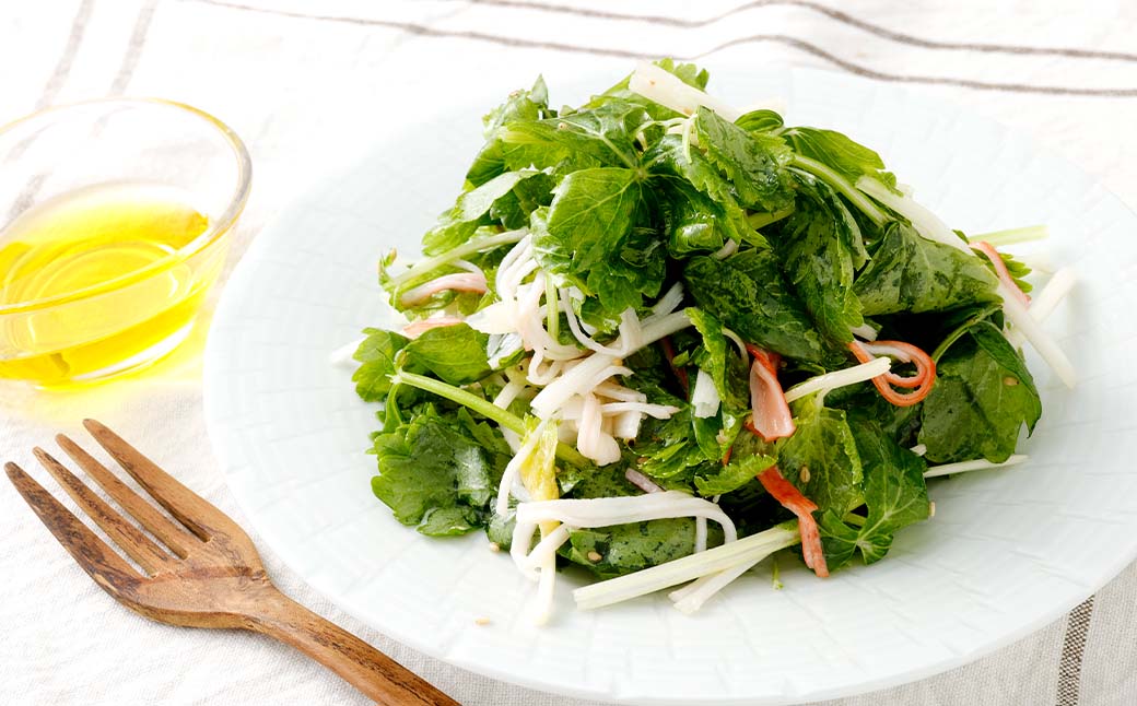 水耕 栽培 新鮮 葉物 野菜 Cセット GreensFarm ホタル サラダ 和え物 M10S101 岐阜県 美濃加茂市【2026年11月上旬～2027年6月上旬発送予定】