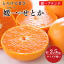 【ふるさと納税】愛媛の柑橘の代名詞!「せとか」約2.5kg入【C28-40】【1437356】
