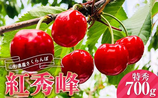《2026年産先行受付》山形県産さくらんぼ 【紅秀峰 特秀品】700g 2Lサイズ以上 FSY-0013