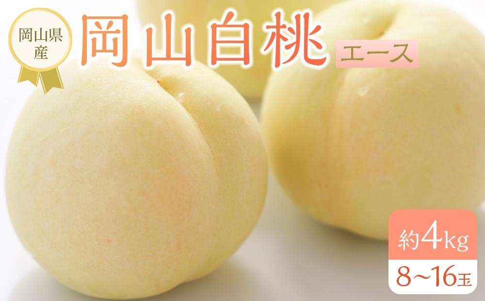 
                  岡山県産 桃 岡山白桃 2026年 エース 約4kg（8～16玉）【白桃 桃 もも 果物 フルーツ 新鮮 岡山県産 おすすめ 人気 ギフト 岡山県 岡山市】
                