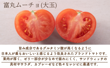 熊野薬草園の大玉トマト（1.4㎏×2箱） トマト 大玉トマト 熊野