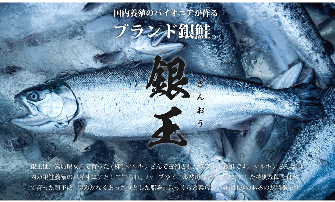 センシン食品　※無塩※ 銀鮭切り身 30g×20枚　チャックポリ入り