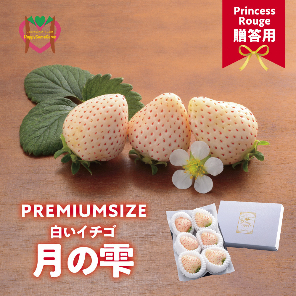 
            いちご　しあわせ届けるいちご農園HappyComeComeの贈答用 白いちごー月のしずくーPREMIUM SIZE《2024年12月中旬-3月下旬頃出荷》
          