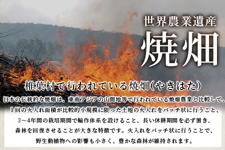 【ふるなび限定】焼畑農家がつくった3種のお餅セット(よもぎもち あずきもち とうきびもち) YS-55