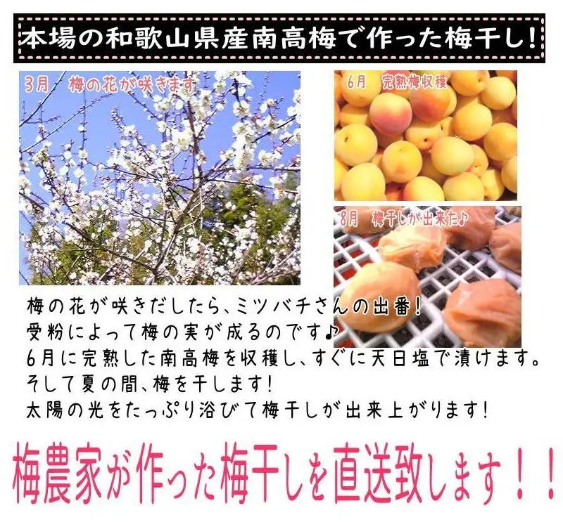 紀州南高梅 白干し南高梅干し 1kg Lサイズ 塩分20％ 添加物不使用 / 梅 うめ ウメ 梅干し 梅干 白干し 南高梅 紀州南高梅 和歌山県 田辺市 【aoi025】 