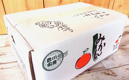 温州みかん フジカワ 柑橘 温州みかん【約5kg】