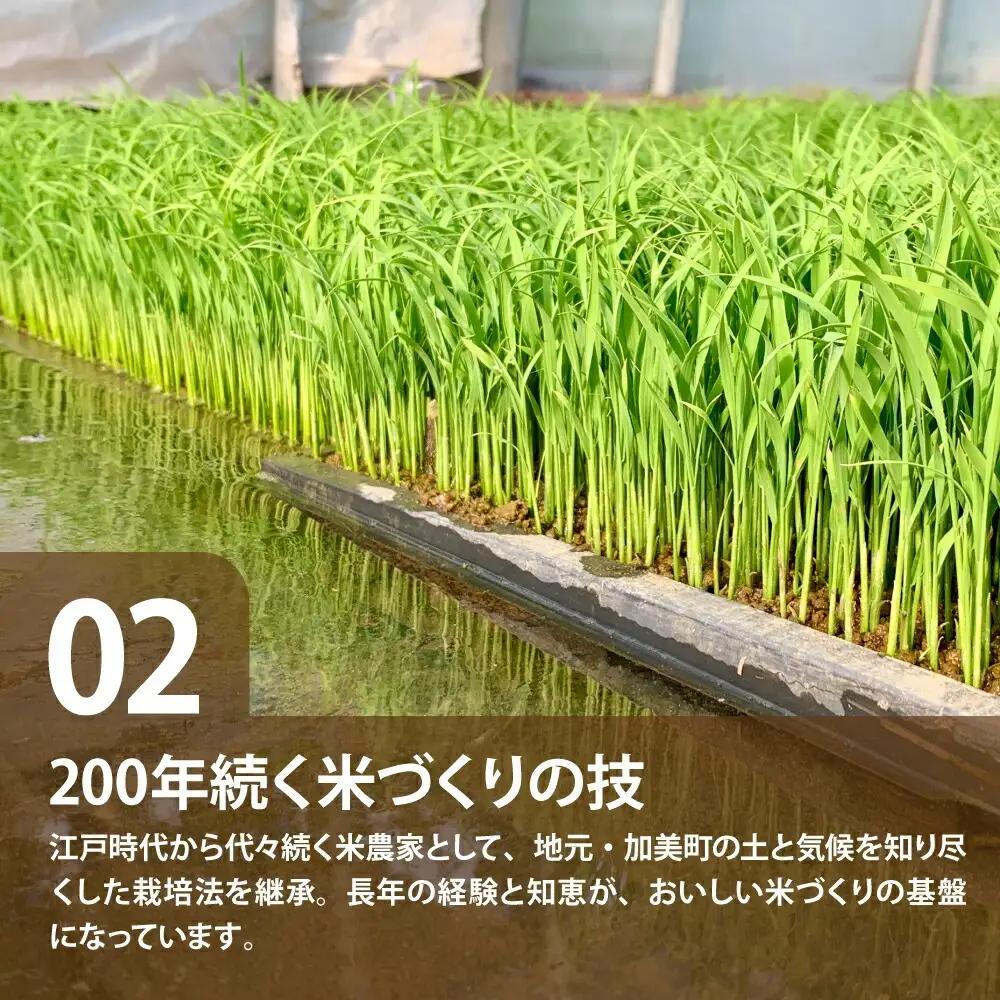 令和8年産 つや姫 無洗米10kg×12回定期便 つや