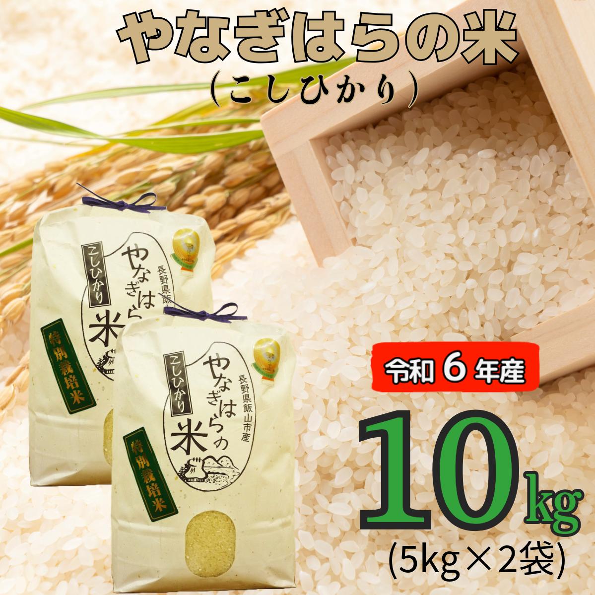 【令和6年産】「やなぎはらの米　こしひかり」10ｋｇ (6-40A)