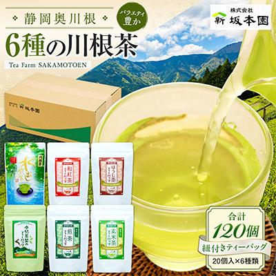 ふるさと納税 川根本町 【坂本園】川根茶ティーバッグ　6種バラエティセット