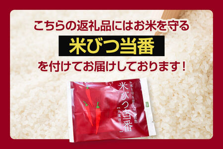 《令和8年産新米受付》 あきたこまち 精米 5kg（5kg×1袋） 【定期便3ヶ月】 吉元耕業 秋田県 男鹿市