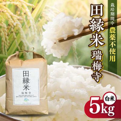 ふるさと納税 糸島市 田縁米(でんえんまい)・瑞梅寺(ずいばいじ) 白米5kg NPO法人田縁プロジェクト[ATM004]