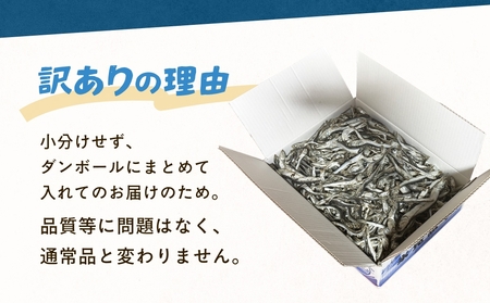 【訳あり】氷見産 煮干し1kg | イワシ いわし 鰯 訳アリ 業務用 つまみ 干物 おやつ 乾物 出汁 だし 味噌汁 魚介 国産 富山 氷見 氷見漁港 常温 カルシウム 新鮮 無添加 産地直送 