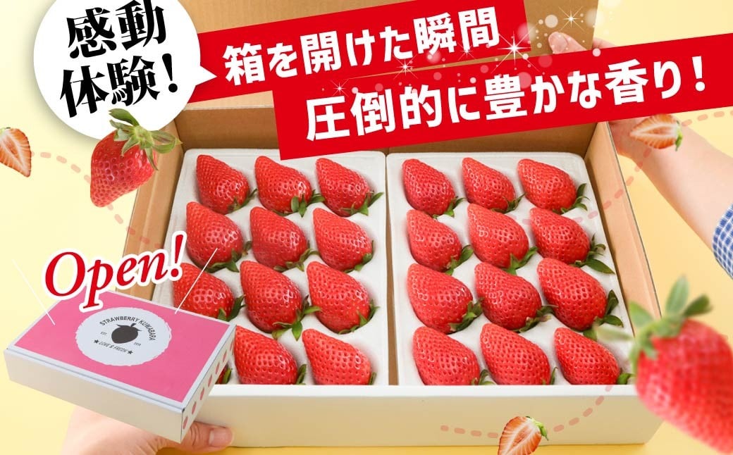 いちご やよいひめ (贈答用) 約800g 群馬県いちご品評会最高金賞受賞