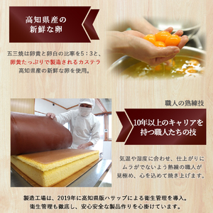 特製米粉かすてら 四万十五三焼 （約250g×3本） カステラ かすてら 米粉カステラ スイーツ 菓子 洋菓子 ギフト スイーツギフト 贈答 Bmu-B78