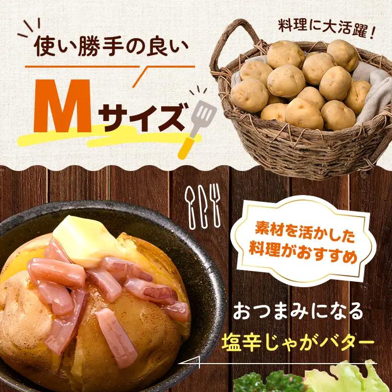 【先行予約】今金町産男爵いも じゃがいも 約10kg [2026年10月下旬以降順次出荷] [F21X-486] じゃがいも
