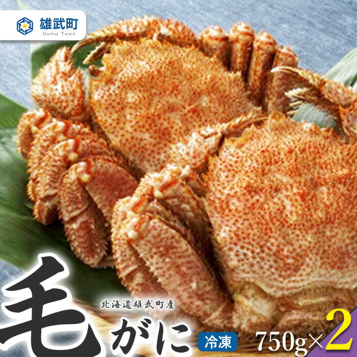 【ふるさと納税】オホーツク産 オホーツク 毛がに 毛ガニ 毛蟹 蟹 カニ 750g 2尾 かに かにみそ カニみそ かに味噌 濃厚 北海道オホーツク産 海産物 海産 海鮮 魚介 魚貝 魚介類 冷凍 ふるさと納税 北海道 雄武町 雄武【1237101】
