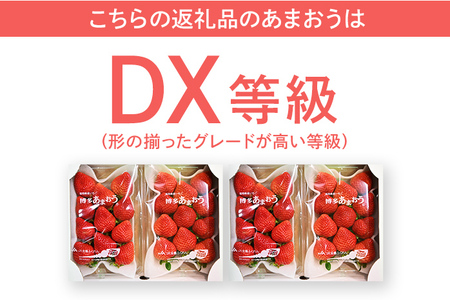 【2024年2月～3月順次発送予定】 あまおう 合計約1,120g 約280g×4パック DX