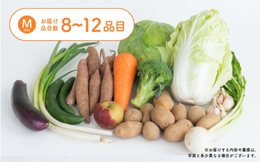 多数のメディアで紹介されました！【訳あり】旬のもったいないお野菜詰め合わせセット Mサイズ [B-16403] / 訳あり 訳アリ ロスヘル 野菜 規格外野菜 冬野菜 やさい サラダ フードロス 果物 くだもの フルーツ 福井県鯖江市