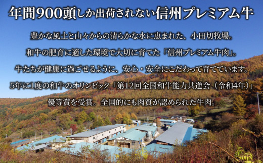 信州プレミアム牛肉 小田切牧場ハンバーグ(150g）×４個セット≪信州 プレミアム 牛肉 100％ 和牛 ギフト ご褒美 贈答用 記念日 贅沢≫※着日指定不可