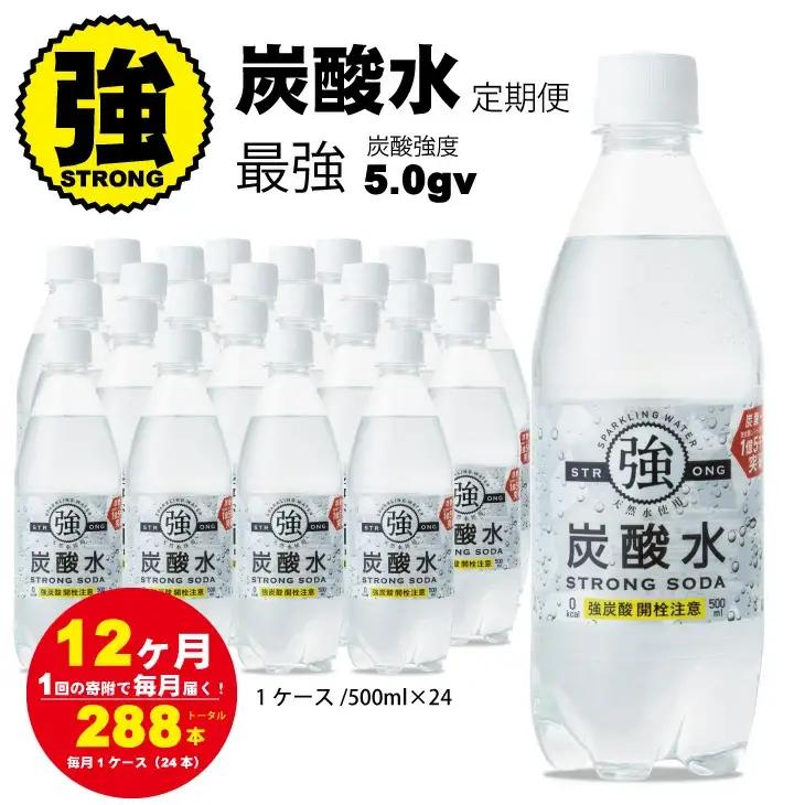 【定期便】（12ヶ月連続お届け）強炭酸水（500ml）1ケース（24本入り）×12回 炭酸 飲料 Q072-002