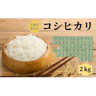 ふるさと納税 栗原市 【令和7年産】宮城栗原産 コシヒカリ 白米2kg (2kg×1袋)