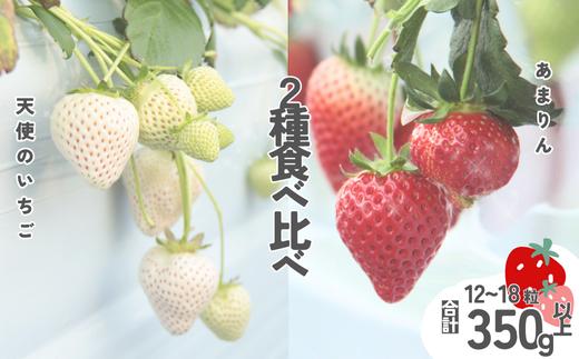 【発送～4月】天使のいちご、あまりん2種食べ比べ　（天使のいちご・あまりん）【苺】 イチゴ おおきい スイーツ あかい 果物 ふるさと納税 いちご うまい フルーツ 期間限定 人気いちご まるい 甘い いちご 旬 直送 おすすめいちご ストロベリー 苺ジャム いちご 好きのための いちご