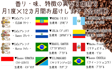 【宝塚】12ヶ月の定期便（当日自家焙煎珈琲豆・全12種類）【粉】