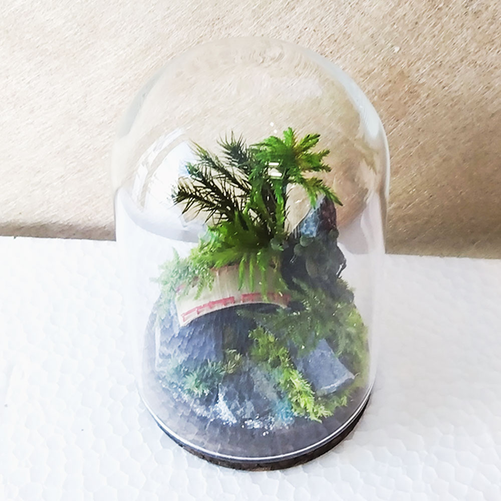 【ふるさと納税】【さとリウム®】プリザーブド加工の テラリウム なごみ（橋）1セット 苔テラリウム ガラス瓶 プリザーブド苔 花 木の実 枝葉 枯れない 苔リウム 苔 コケ プリザーブド 観葉植物 グリーン 雑貨 観賞用 水やり不要 苔工房アイモス 静岡県 菊川市 送料無料