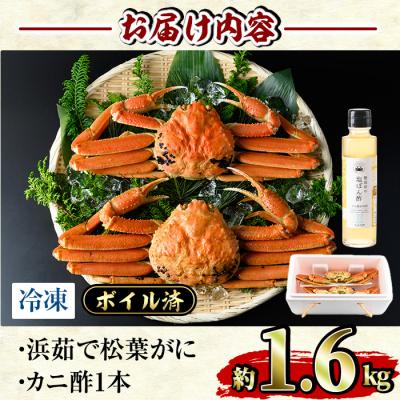 ふるさと納税 境港市 浜茹で松葉がに(800g×2枚)かに酢付 |  | 03