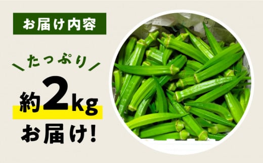 【順次発送】朝採れ オクラ約2kg ＜パッパラパー農園＞ [CFI004 おくら オクラ 野菜 夏野菜 新鮮 やさい おくら 贈答