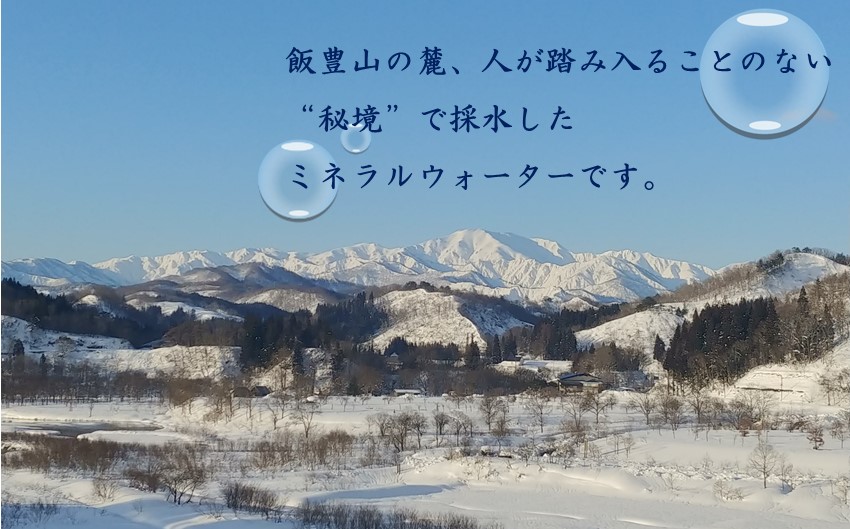 秘境の湧き水　国内産ミネラルウォーター　500mlペットボトル 24本×2箱