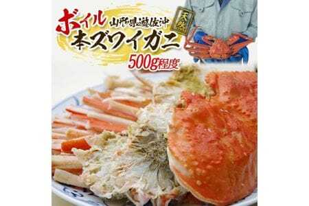 1138　遊佐沖　春のボイル・本ズワイガニ 1匹500g程度