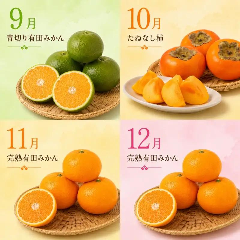 【旬のくだもの定期便】和歌山県の旬のフルーツを毎月お届け！　全12回【Ｓ】（配送日時指定不可）※北海道・沖縄・離島への配送不可 / 定期便 フルーツ みかん いちご イチゴ セミノール 河内晩柑 すい