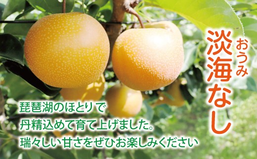 【先行予約】【数量限定】淡海なし　幸水　3kg箱入り（サイズ：2L～7L　5～10個入り） 【K127W】