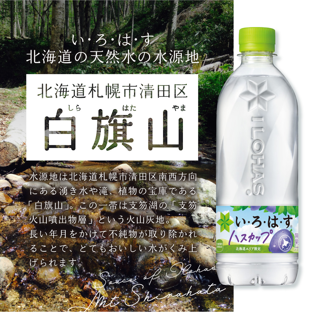 【３ヶ月定期便】い・ろ・は・す ハスカップ　540mlPET×48本｜コカ・コーラ 飲料 ドリンク 飲み物 水 いろはす 北海道 札幌市