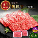 【ふるさと納税】【12回定期便】 飛騨牛 焼肉用 ロース・肩ロース 1kg A4等級以上 多治見市 / 渡辺精肉店 和牛 ブランド牛 牛肉[TAZ037]