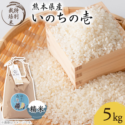 熊本県南阿蘇村産 令和7年産 特別栽培米 いのちの壱(白米) 5kg×1袋【虹色のかば】【1577909】