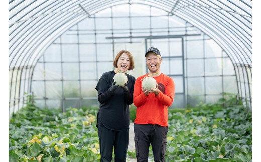 796.【青肉系メロン】ペルルメロン×２玉（1玉2kg前後×2玉） ※離島への配送不可 